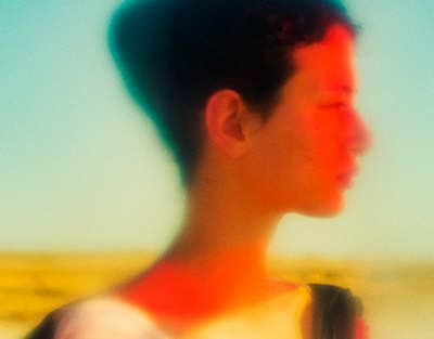 Поощрение и наказание: Как решить проблемы животных в приютах