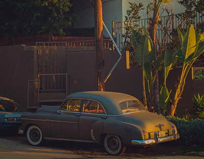 Help. Петербург ищет место под мусорный завод в Ленобласти