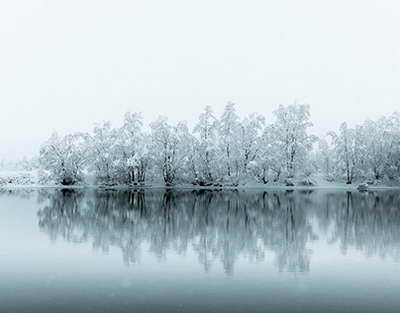 В Китае начали отказываться от поставок украинской кукурузы