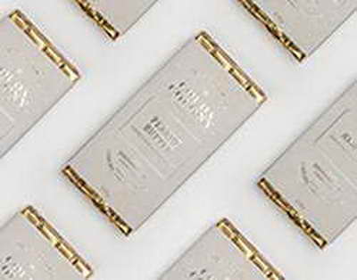 В Киргизии нашли кости мамонта