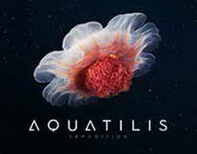 Годзилла против Конга установил рекорд по сборам в Северной Америке, заработав 48,5 млн долларов за первые 5 дней