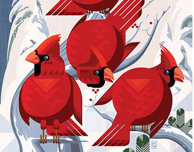 Цыганам посвятили книжную выставку