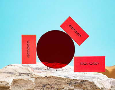 В Балтике рассказали о ситуации с главным тренером команды